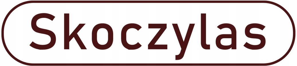 Witamina C z aronią Skoczylas 300g 3 Witamina C z aronią Skoczylas 300g - Image 3